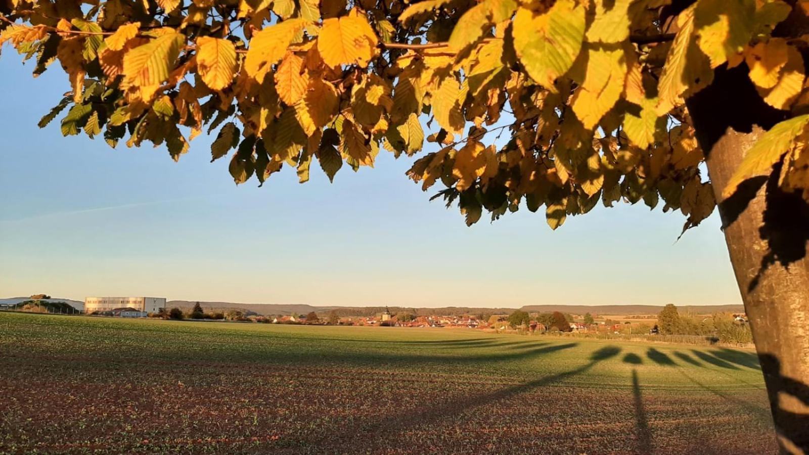 Stilvolle Ferienwohnung Im Eichsfeld Niederorschel Εξωτερικό φωτογραφία
