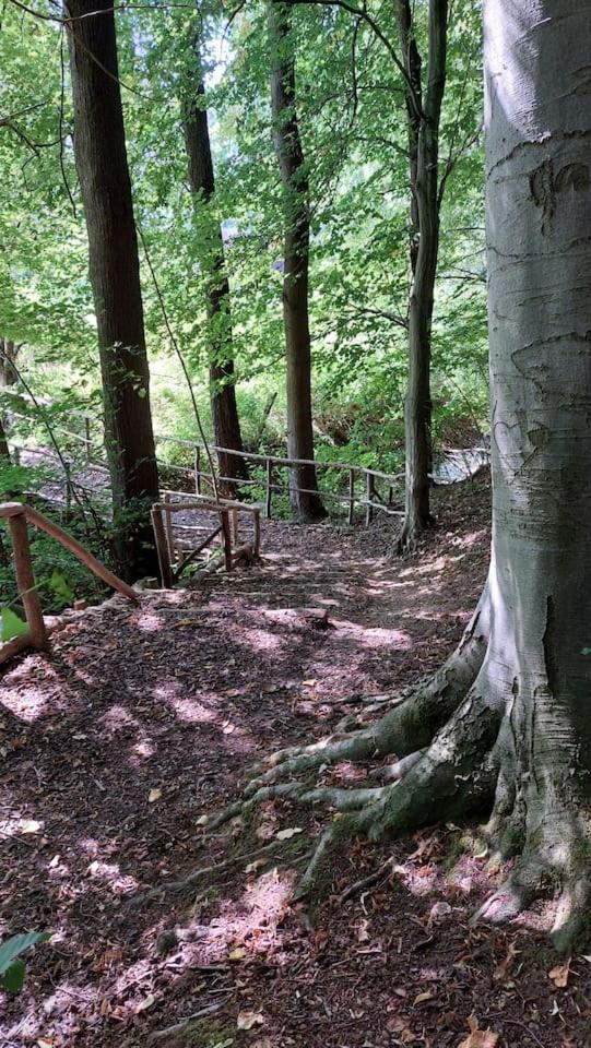 Stilvolle Ferienwohnung Im Eichsfeld Niederorschel Εξωτερικό φωτογραφία